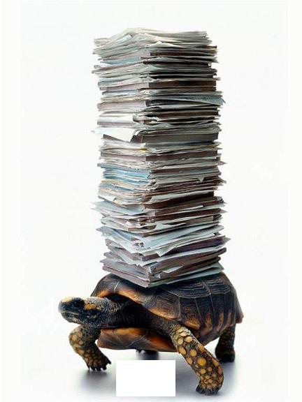 How files move in Govt Office